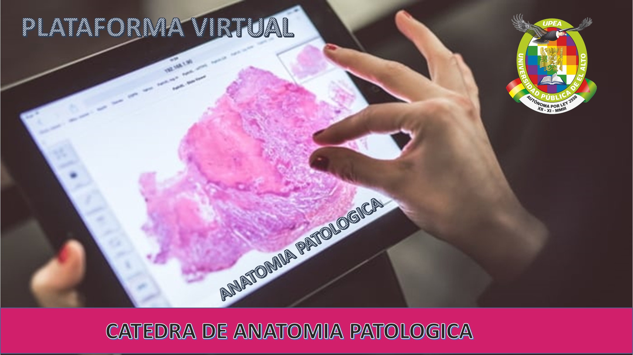 portada principal de la plataforma virtual de anatomía patológica de la UPEA